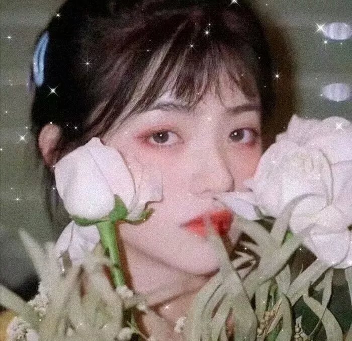 杨光的快乐生活4